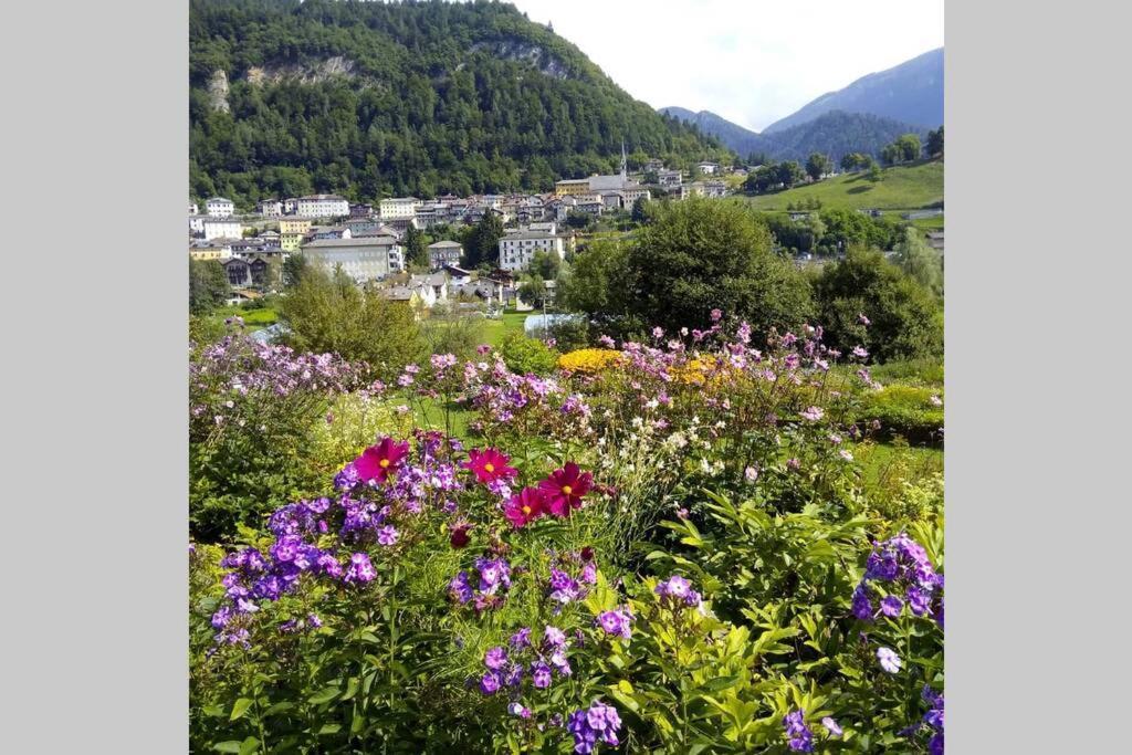 Chalet Maso Fradea Family Resort Castello Tesino Eksteriør bilde